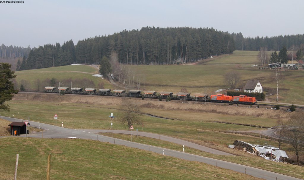 293 004-8 und 003-0 mit dem DGS 99276 (Steinach(Baden)-Rottweil) bei Stockburg 4.4.13