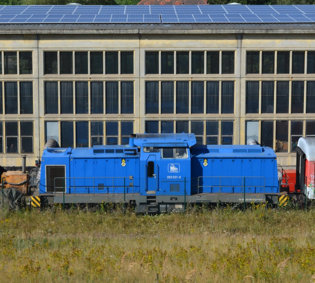 293 021-6 der Press in Espenhain 18.08.2012