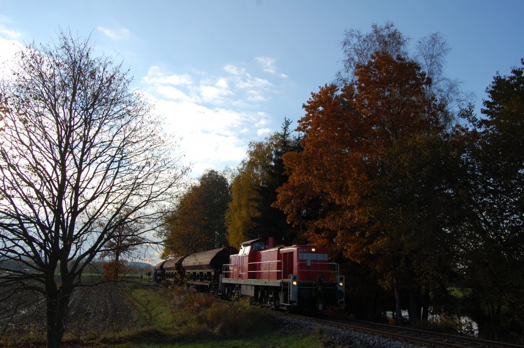 294 650 am 30.10.2009 bei Hirschau. Das Bild war ein Experiment mit Gegenlicht, welches, wie ich finde sehr gelungen ist unter anderem auch mit dem Stimmungsvollen Herbstlaub