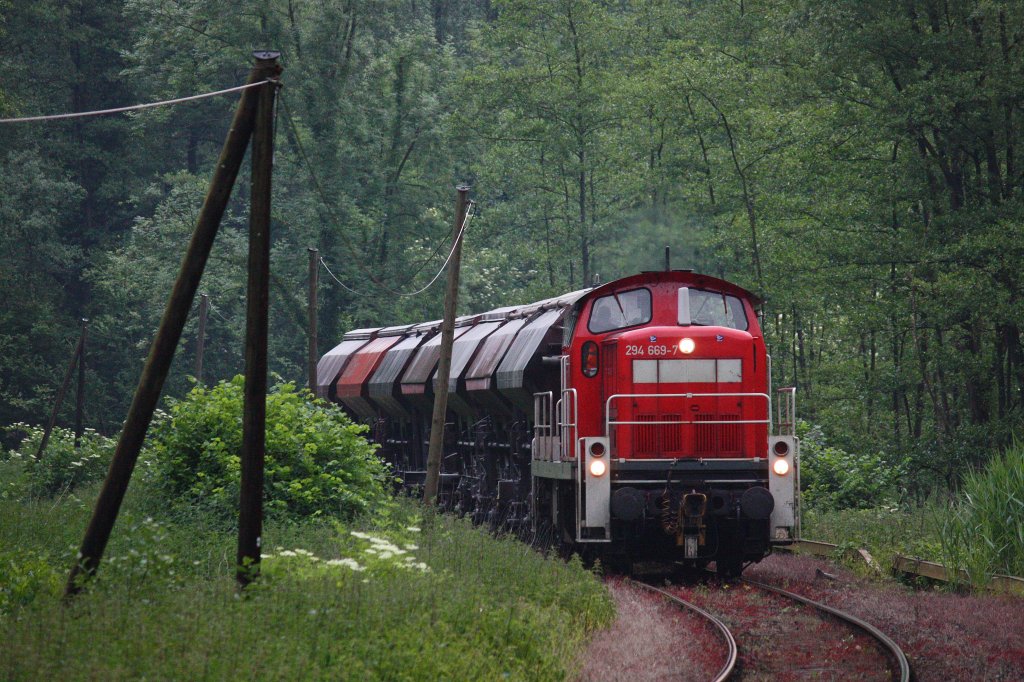 294 669 am 12.6.12 mit einem Kalkzug im Angertal in H�he Auer M�hle.