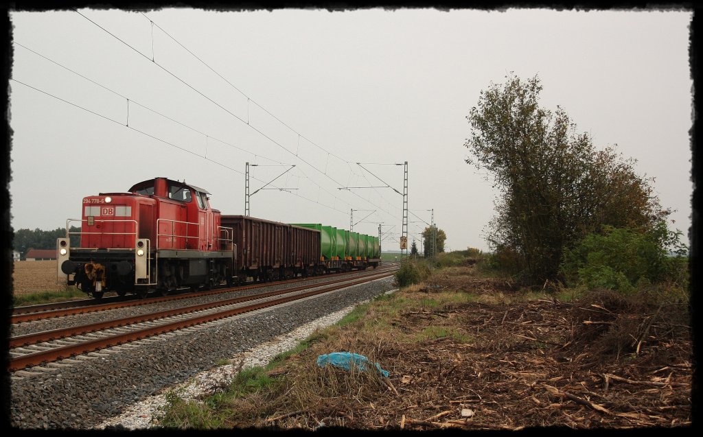 294 708 kommt mit dem Mllzug aus Richtung Plattling wieder zurck. Hier habe ich den  Dreck  den Bahnarbeiter liegen gelassen haben, ins Bild mitgenommen da es ja irgendwie zum  Mll(zug)  passt. (30.09.2010, Taimering)