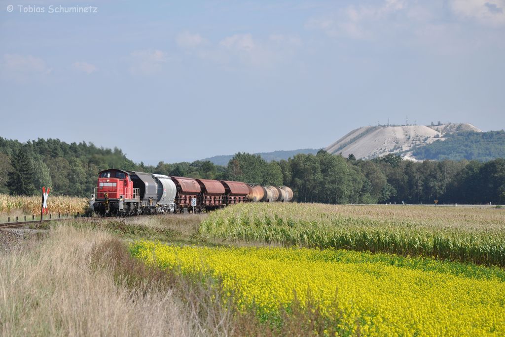 294 717 mit EK56937 am 14.09.2012 bei Hirschau (Strecke Amberg-Schnaittenbach)