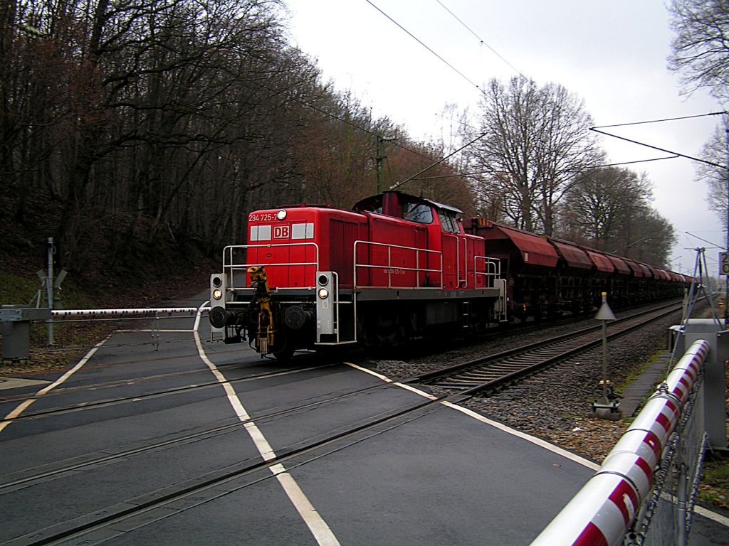 294 725-7 am 21.3.2010 aus Herzogenrath kommend am B Rimburg