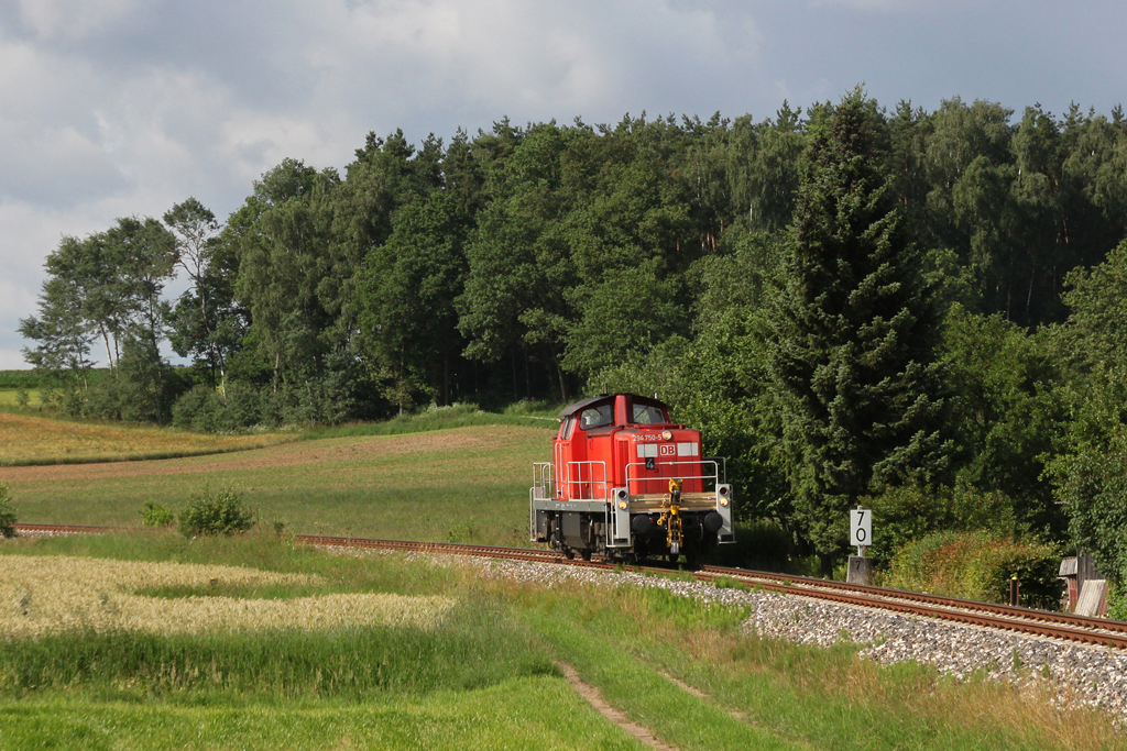 294 750 ist am 24.06.2011 solo von Amberg nach Hirschau unterwegs, hier bei Godlricht.