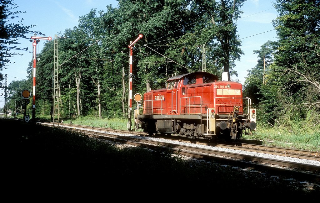  294 795  bei Forchheim  30.07.09