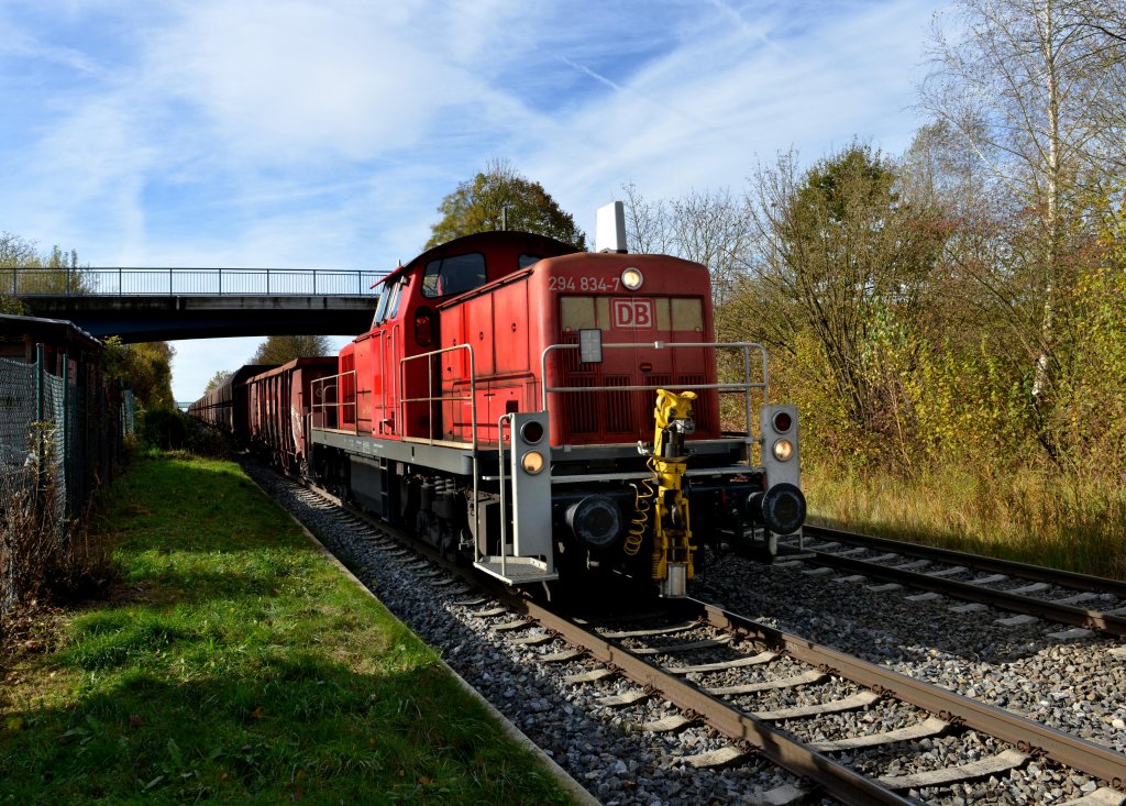 294 834 mit einem Kohlezug am 03.11.2012 unterwegs bei Friedrichshafen-Flughafen.