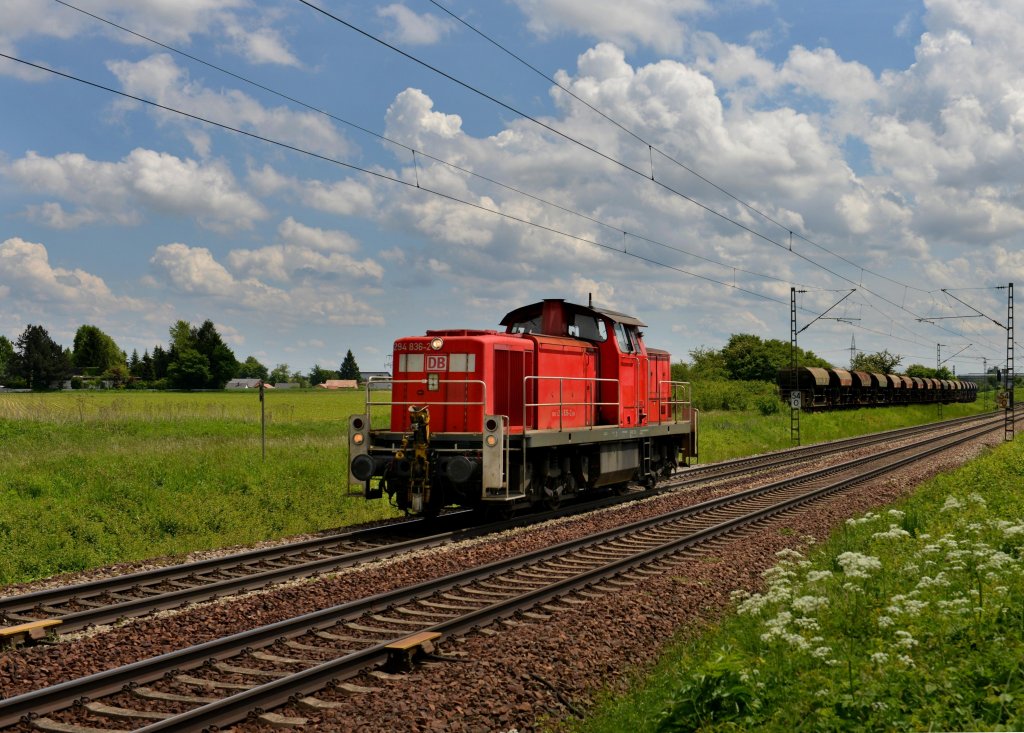 294 836 bei einer Lz-Fahrt am 21.05.2013 bei Plattling.