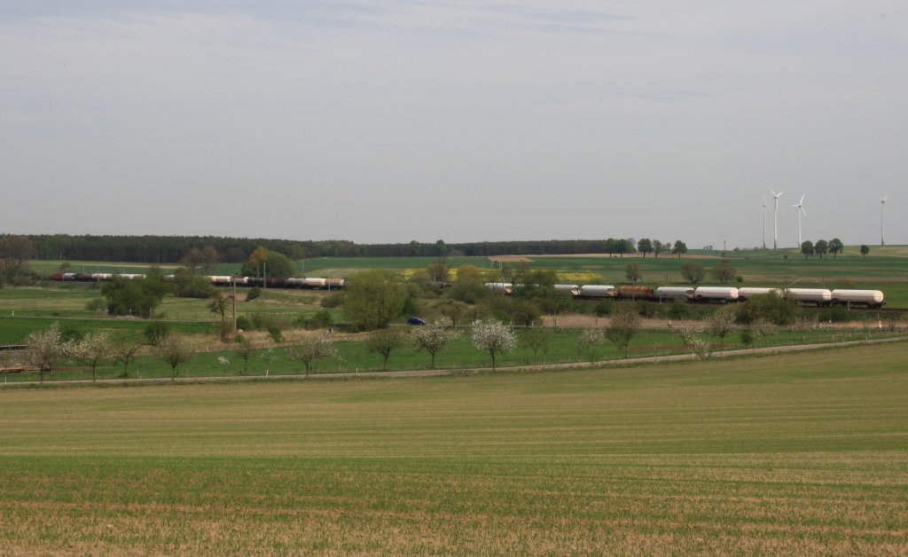 29.4.2012 bei Angemnde. Ein Kesselzug nach Stendell fhrt durch die schne Uckermark. Der letze Wagen hat gerade den B in km 73.5 verlassen. Der Pkw befindet sich gerade auf dem B der Verbindungskurve Erichshagen - Kerkow. Der kleine Punkt links davon ist ein Fernsprechkasten.