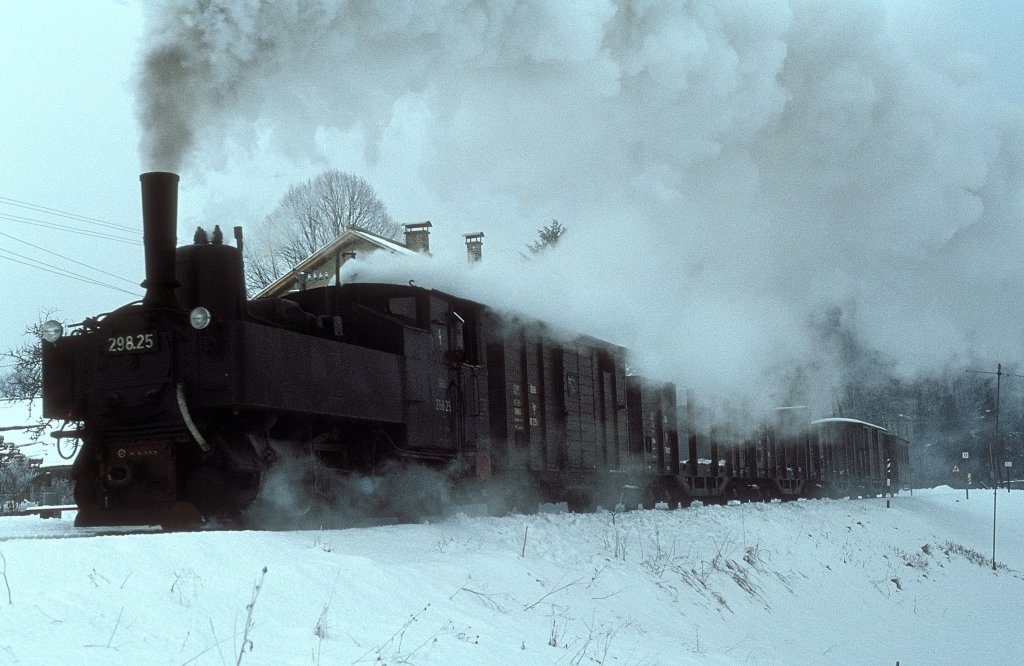 298.25  Leonstein  09.01.80