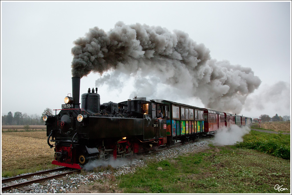 298.56 fhrt mit dem „Flascherlzug“ von Preding nach Stainz. Der Name des Zuges stammt aus der Zeit, als in Rachling der Wunderdoktor „Hllerhansl“ (1866 - 1935) praktizierte. Er stand in dem Ruf, aus dem Urin verschiedene Krankheiten feststellen zu knnen. So reisten viele Leute mit der Schmalspurbahn Preding - Wieselsdorf - Stainz an, hatten im Handgepck ein Flascherl mit Urin und suchten den Hllerhansl auf. Von damals kommt die Bezeichnung „Flascherlzug“ fr diese Bahn.(Text Marktgemeinde Stainz)
Herbersdorf 26.10.2012