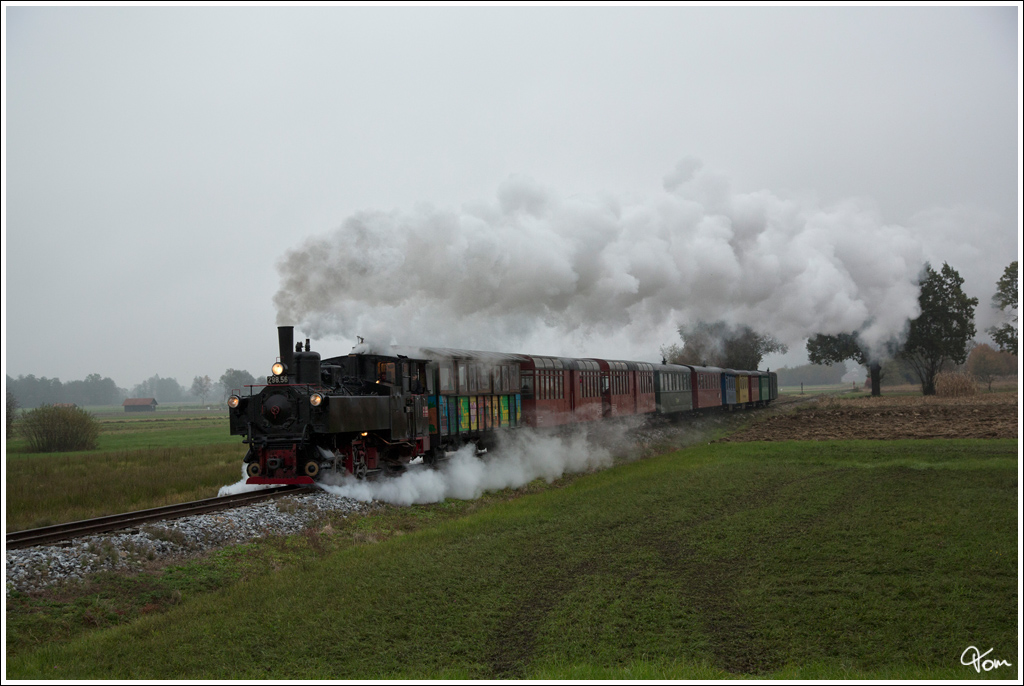 298.56 fhrt mit dem „Flascherlzug“ von Preding nach Stainz. Der Name des Zuges stammt aus der Zeit, als in Rachling der Wunderdoktor „Hllerhansl“ (1866 - 1935) praktizierte. Er stand in dem Ruf, aus dem Urin verschiedene Krankheiten feststellen zu knnen. So reisten viele Leute mit der Schmalspurbahn Preding - Wieselsdorf - Stainz an, hatten im Handgepck ein Flascherl mit Urin und suchten den Hllerhansl auf. Von damals kommt die Bezeichnung „Flascherlzug“ fr diese Bahn.(Text Marktgemeinde Stainz) Herbersdorf 26.10.2012