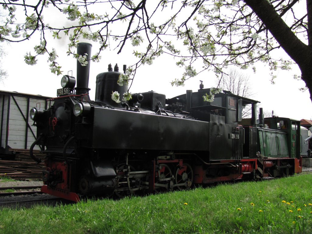 298.56 und O&K Lok 6 im Heizhausbereich Stainz. Heuteam 11.04.2011  hat 298.56 die abnhame fr den Betrieb auf der Stainzer Lokalbahn bekommen. 