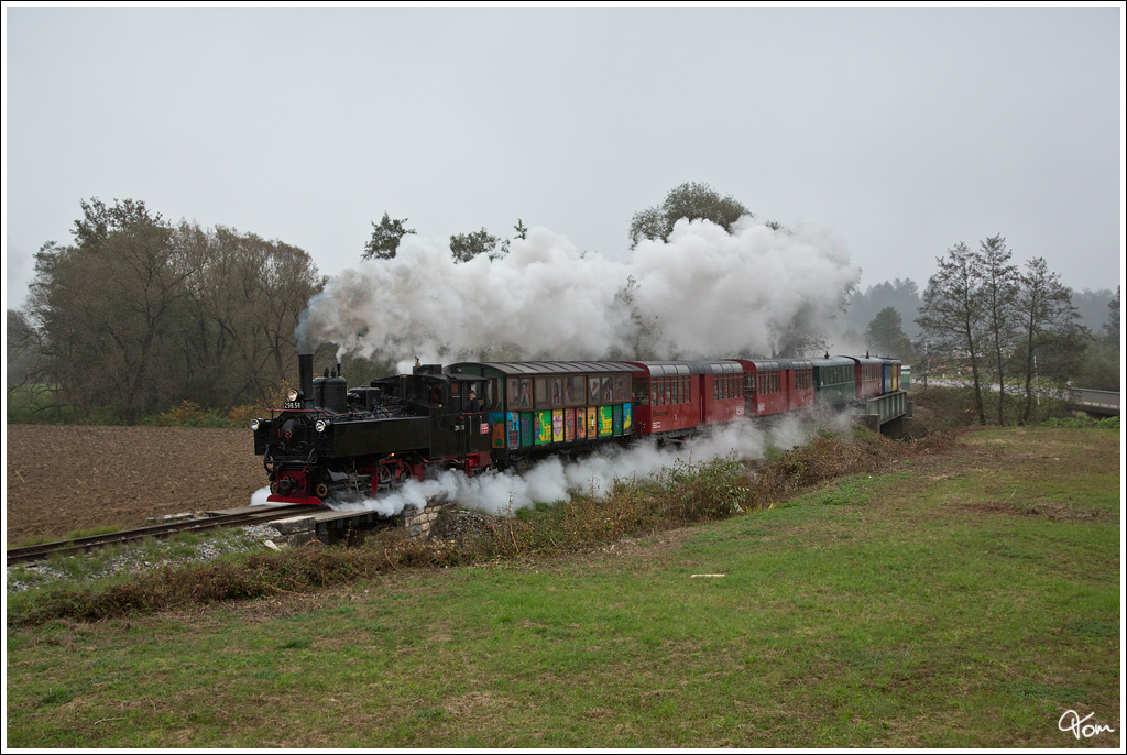 298.56 zieht den  Flascherlzug  von Preding nach Stainz. 
Preding 26.10.2012
