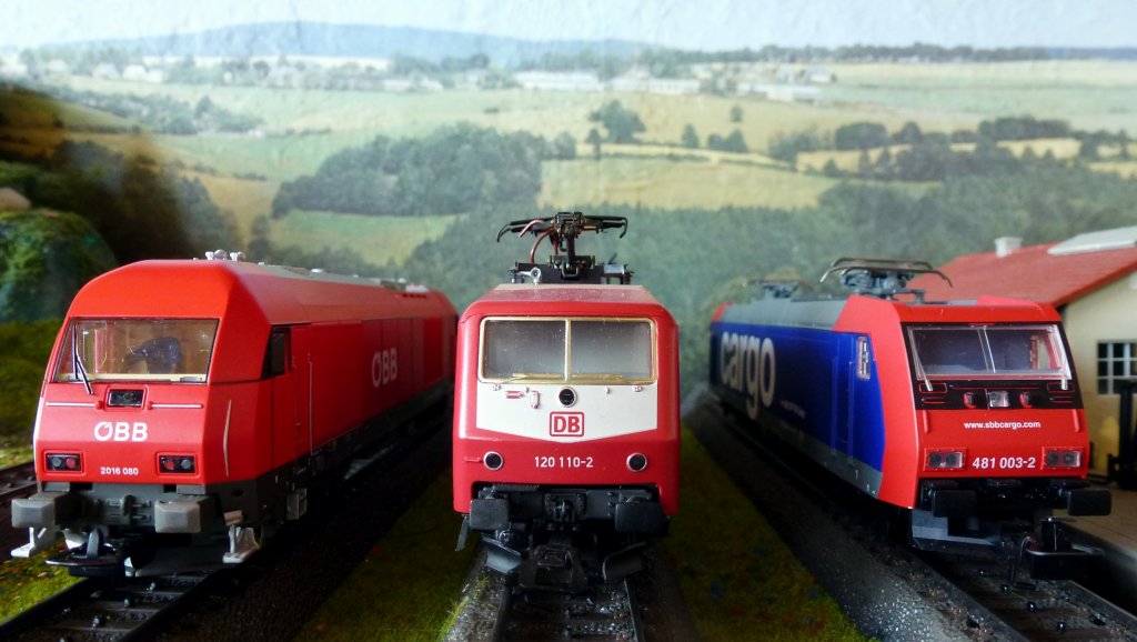 3 Loks machen halt. 481 003-2, RH2016 080 und 120 110-2. Foto 02.03.13