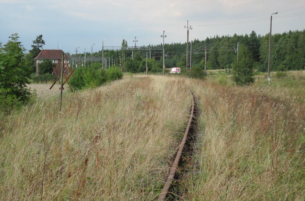 30.8.2009 Godkow / Jdickendorf. Einmndung der Strecke von Wriezen