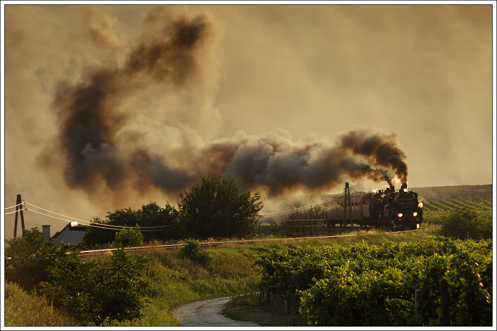 310.23 und 109.13 aus Strasshof bei der Rckfahrt von Aggsbach Markt nach Wien als SE 17201, aufgenommen in Unterloiben in der Wachau am 22.8.2012. 
