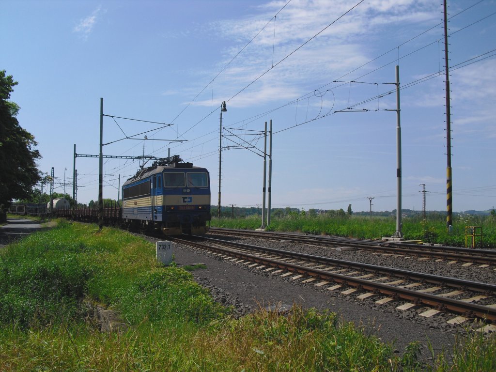 363 044-9 ist mit einem Gterzug unterwegs zwischen Cheb und Trsnice, am 09.06.10.