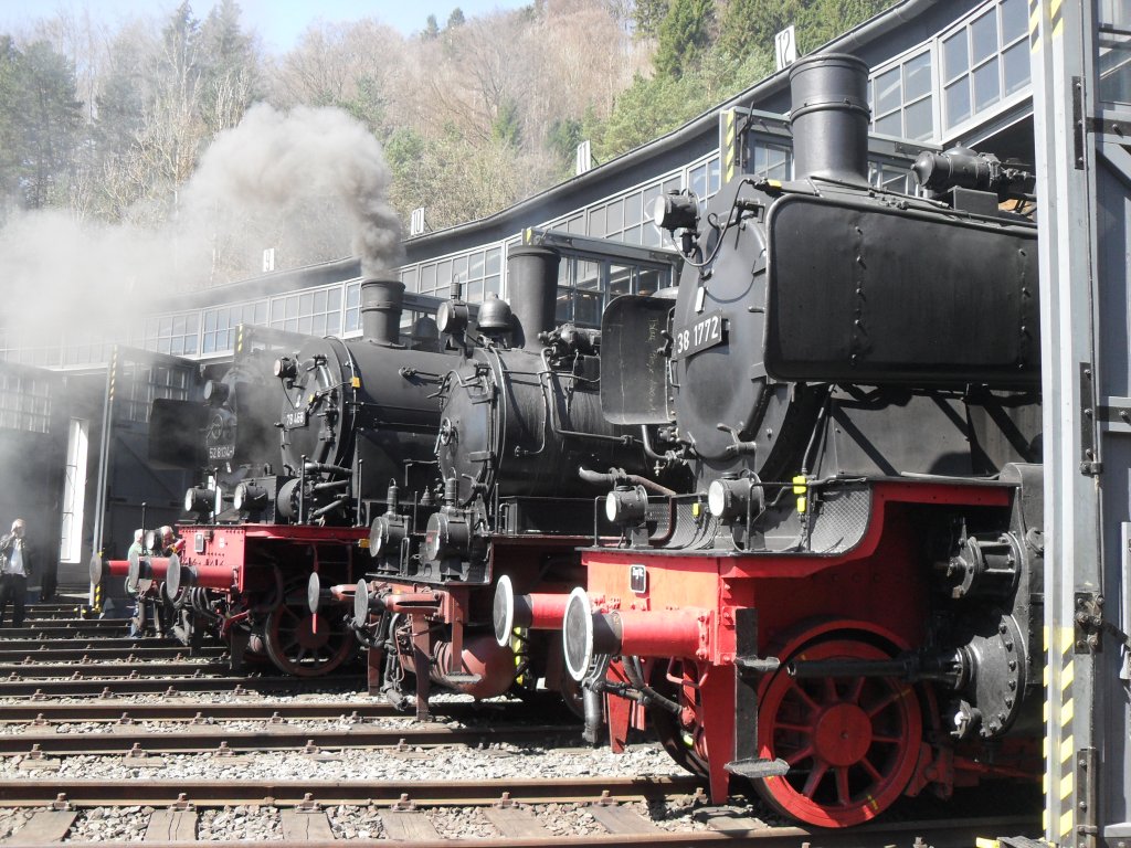 38 1772,52 8134-0,78 468,und die T11 des Mindener Preu�enzuges stehen am 6.4.10 im Lokschuppen des historischem BW Gerolstein.
