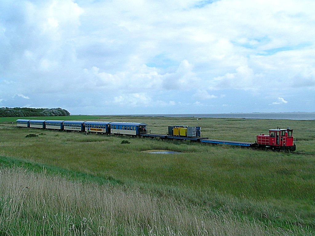 399 107-2 zuckelt gem�tlich durch die Salzwiesen Richtung Anlieger;060830