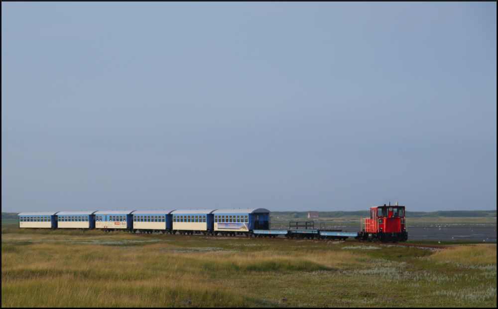 399 108-0 ist mit einem GmP (Güterzug mit Personenbeförderung) in Wangerooge auf dem Weg vom Inseldorf zum Westanleger, an dem schon die Fähre wartet. Die Salzwiesen links und rechts stehen unter Naturschutz und dürfen auch bei Wartungsarbeiten an der Srecke nicht betreten werden. (28.08.2012)