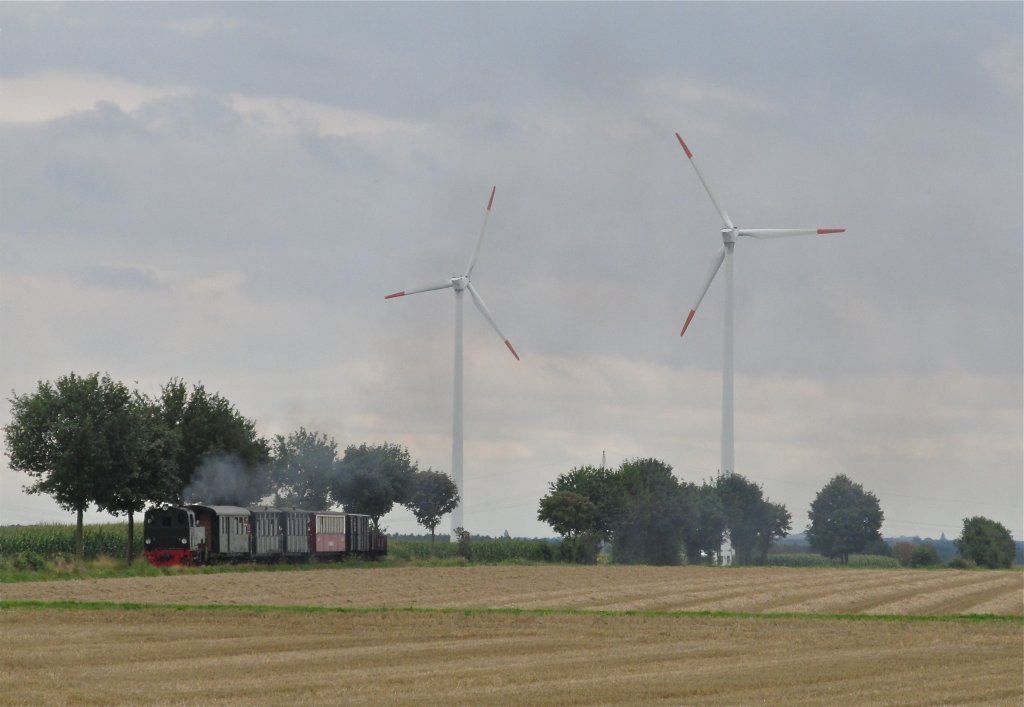 40 Jahre Selfkantbahn: Lok 101 mit Pz am 13.8.2011 bei Gelindchen.