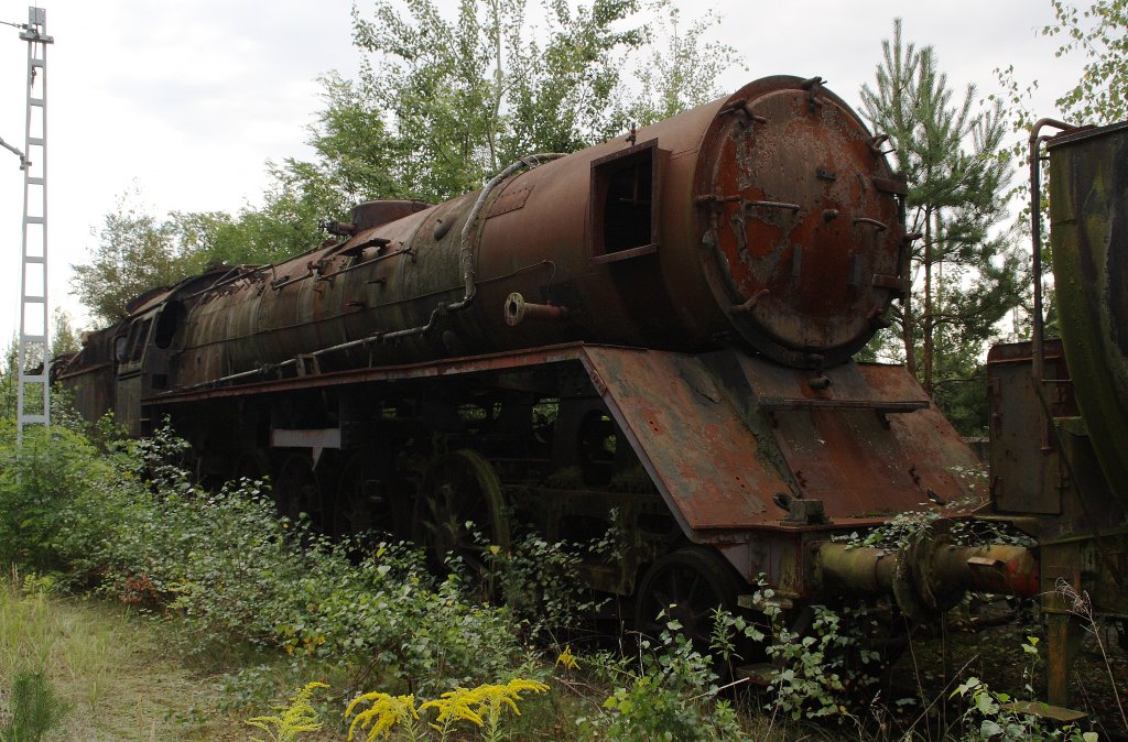 41 1125 am 04.09.2010 im ehemaligen BW Falkenberg oberer Bahnhof. Die Sammlung war dieses Jahr leider nur an diesem einem Wochenende zugnglich.
