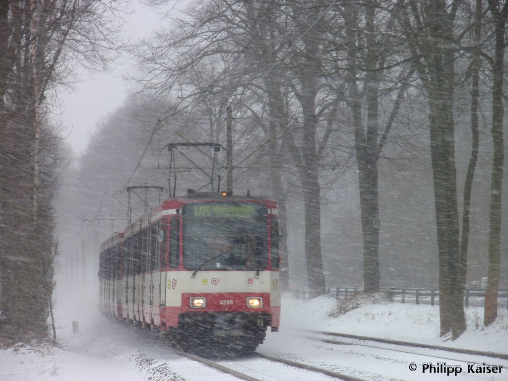 4208 und 4204 bahnen sich am 9.1.2010 als als Linie U74 ihren Weg durch das Schneegestber in Richtung Meerbusch Grgesheide.
