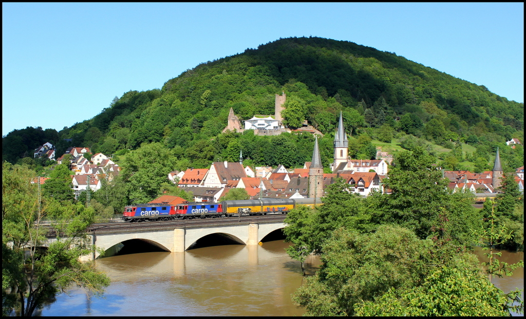 421 390 und 421 384  mit einem ARS Altmann Autozug am 04.06.13 in Gemnden am Main