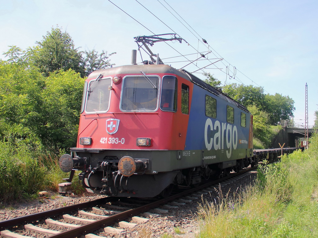 421 393-0 der SBB Cargo mit einem Container Zug bei der berfahrt in Richtung Blankenfelde passiert am 17. Juni 2013 den Bahnbergang Tunnelweg in Blankenfelde (Bandenburg). 