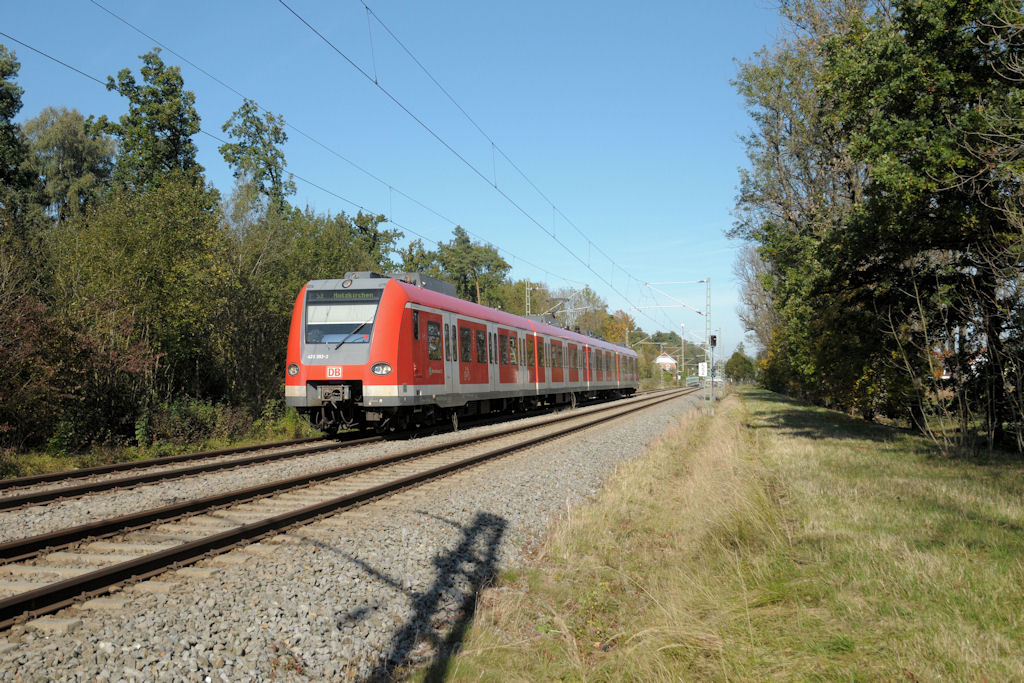 423 353 am 16.10.11 kurz vor dem Halt Unterhaching-Fasanenpark