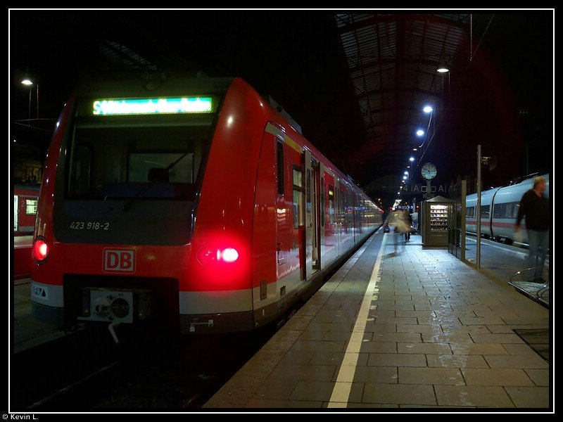 423 918 + 423 ??? als S1 nach Rdermark-Ober-Roden in Wiesbaden Hbf. Aufgenommen am 21.11.2009