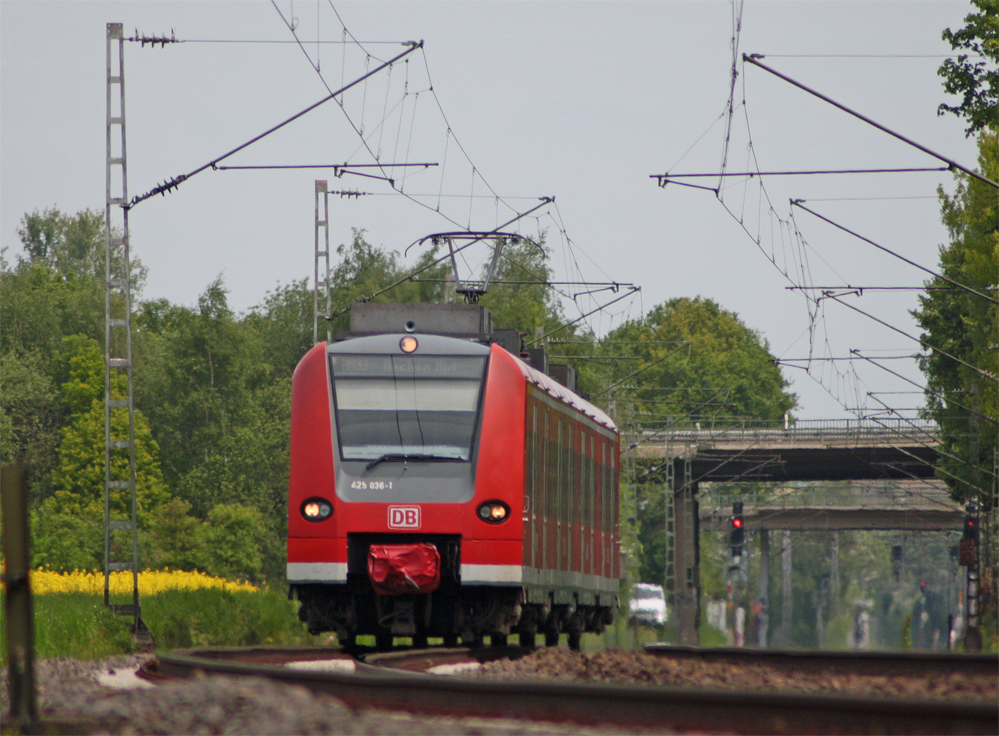425 036-1 als RB11067 aus Duisburg nach Aachen Hbf kurz hinter dem Bahnhof Geilenkirchen, 19.5.10