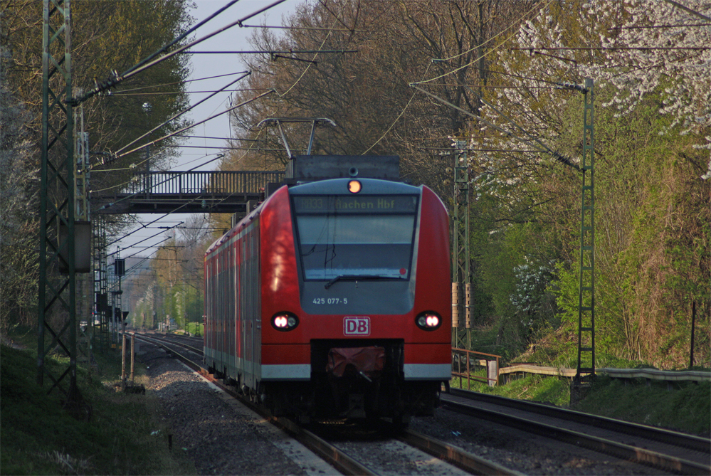 425 077-5 als RB11079 nach Aachen beim alten bacher Stellwerk bei der Einfahrt in bach-Palenberg 18.4.10