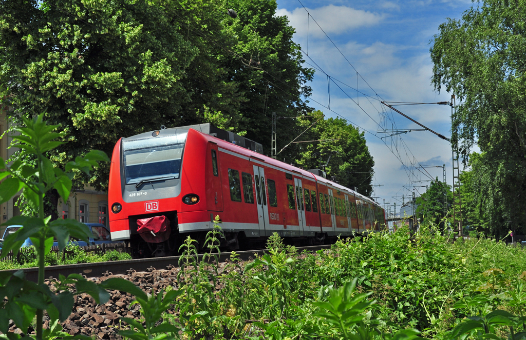 425 107-0 arbeitet sich durch`s  Grnland  in Knigswinter am Rhein - 13.06.2010