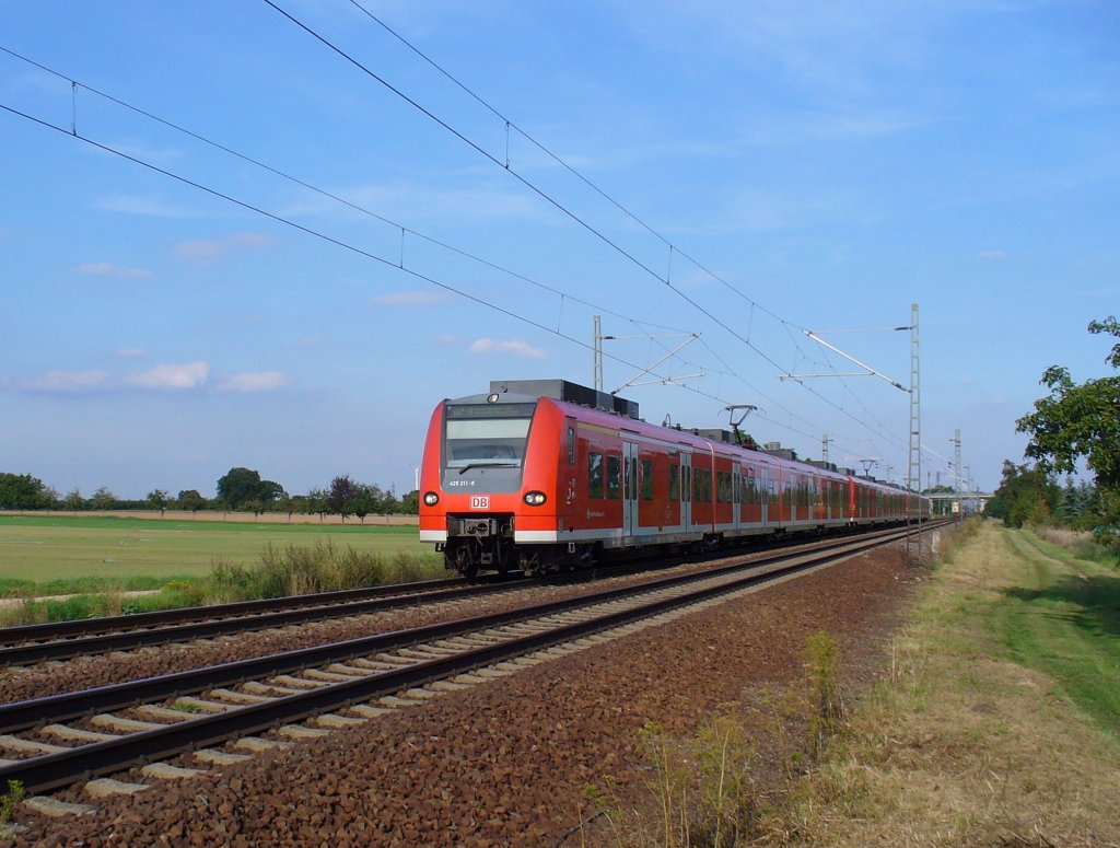 425 211/711, 425 237/737 und 425 203/703 fahren als S1 Osterburken - Homburg (Saar) am 31.08.2011 bei Haloch in richtung Neustadt (Weinstrae)