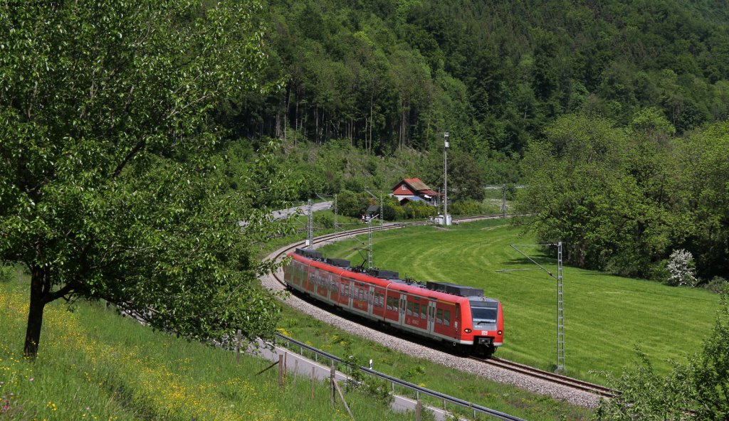 425 311-8 als RE 19089 (Stuttgart Hbf-Rottweil) bei Grnholz 20.5.12