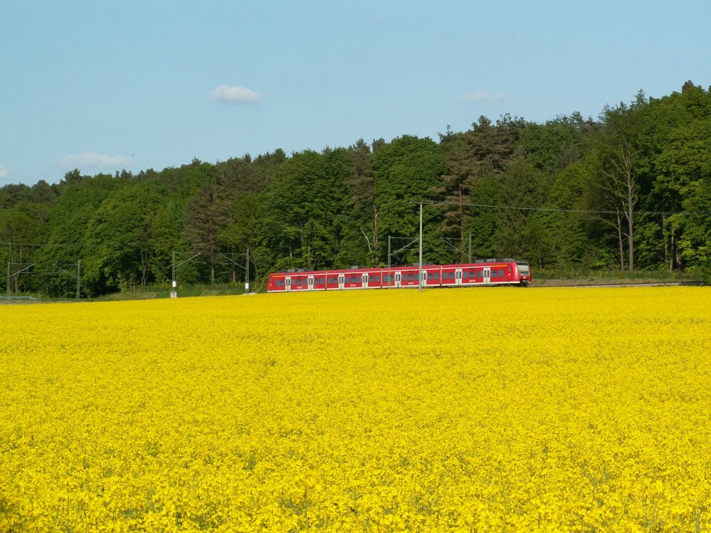 425 als RB am 23.05.10 auf dem Weg Richtung Saarbrcken zwischen Limbach und Kirkel.