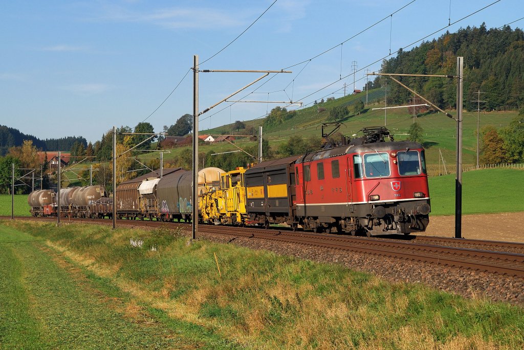430 365 mit Gterzug bei Unterschnasberg (07.10.2009)
