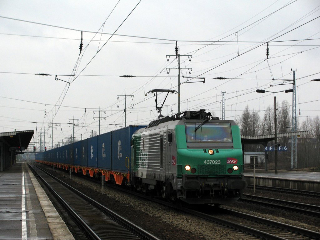 437 023, DAS HIGHLIGHT des Tages. Ein  SNCF Fretchen  im Dienste der ITL mit einem erstaunlich leisen und vllig gleichaussehenden Containerzug in Richtung Frankfurt/Oder am 20.03. in Berlin Schnefeld Flughafen.