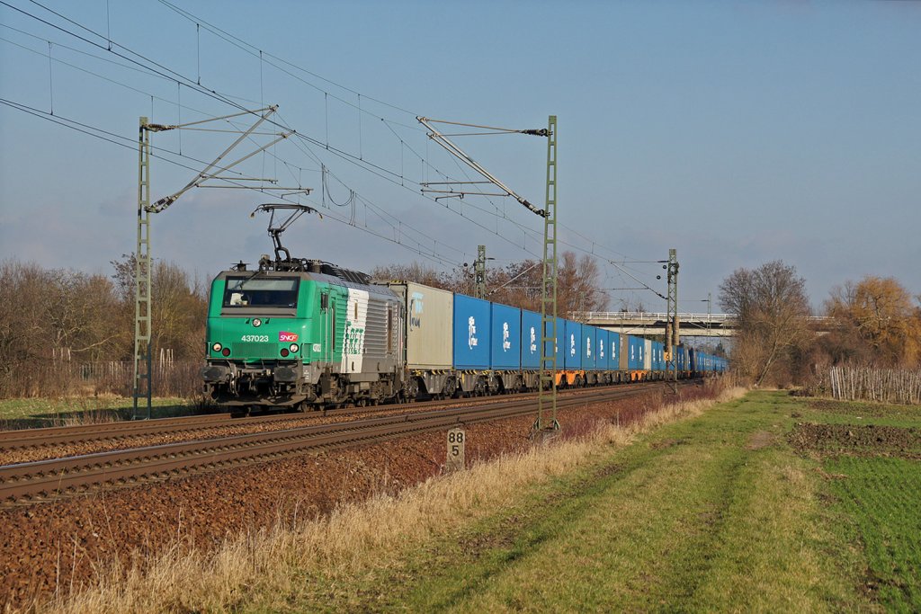 437 023 mit der  blauen Wand  Richtung Frankreich bei Bhl-Iggelheim. 15.01.12