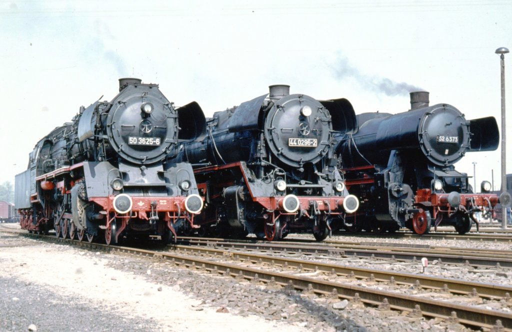44 0296-2 zwischen 50 3625-6 und 52 6373 anllich einer Sternfahrt in Karow, Mai 1981 - das hat man liebevoll arrangiert und die Eisenbahnfans waren gern bereit die Loks fr eine Fotosession freizuhalten (nicht nur weil die Trapo immer dabei war).