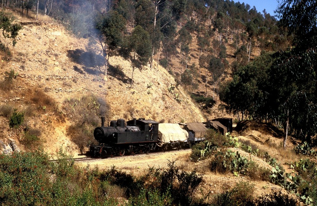 440 008  bei Asmara  31.01.12