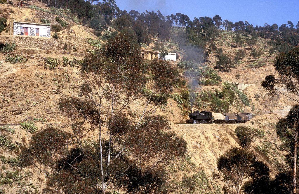 440 008  bei Shegerini  31.01.12