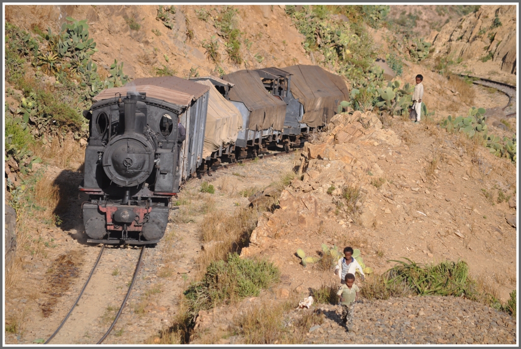 440.008 mit Gterzug zwischen Arbaroba und Shegerini.Die kleinen Zaungste sind berall, auch an den steilsten Orten, anzutreffen. (30.01.2012)