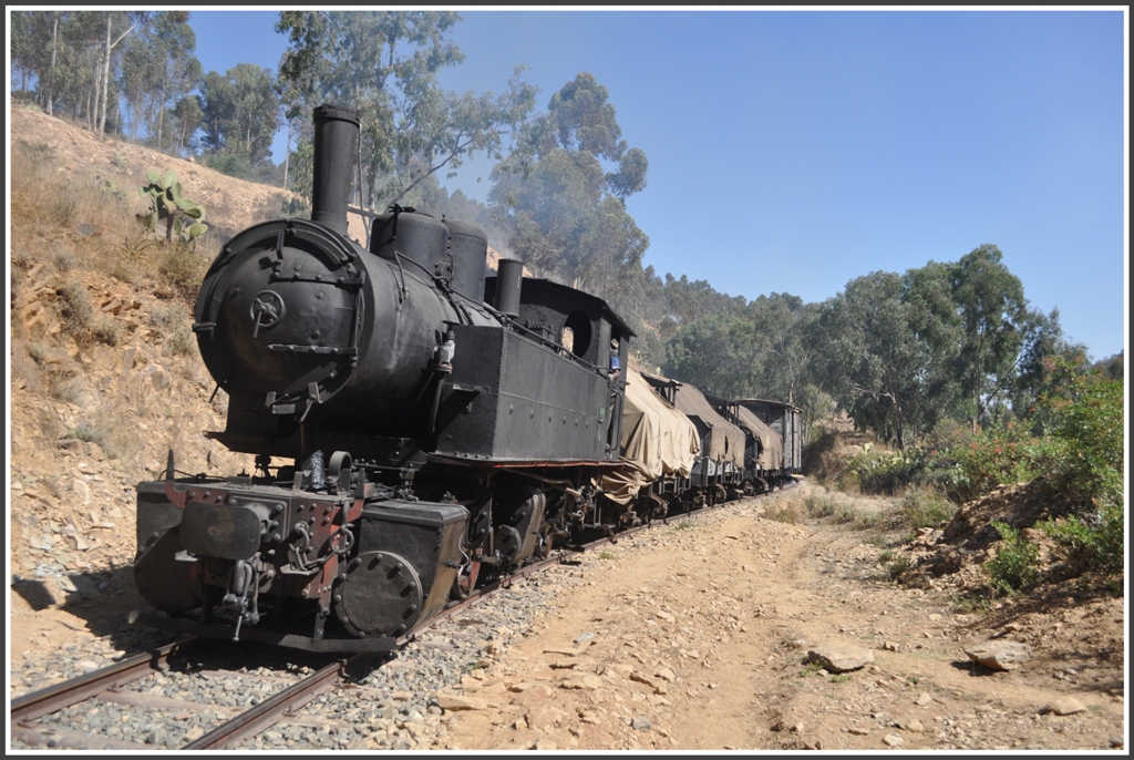 440.008 mit Gterzug zwischen Shegerini und Asmara. (31.01.2012)