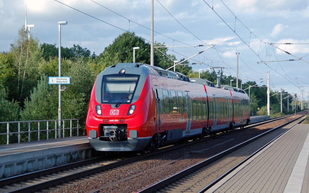 442 102 durchfhrt am 01.09.10 Burgkemnitz Richtung Bitterfeld.