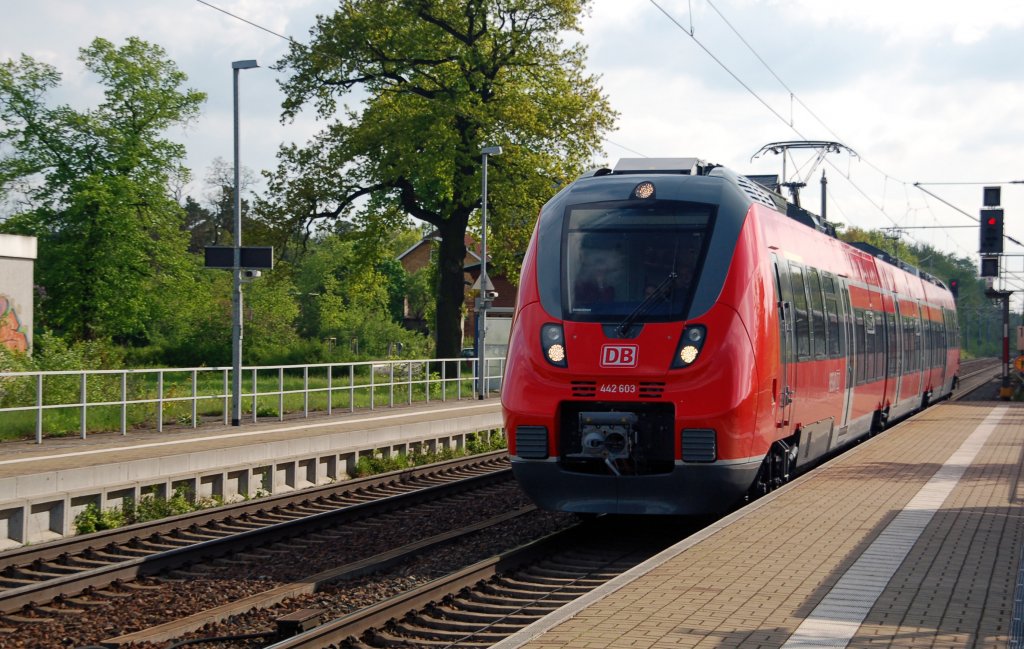 442 103/603 durchfhrt am 12.05.10 Burgkemnitz Richtung Wittenberg. Wenn mal was besonderes kommt, kommt es natrlich als Falschfahrt!