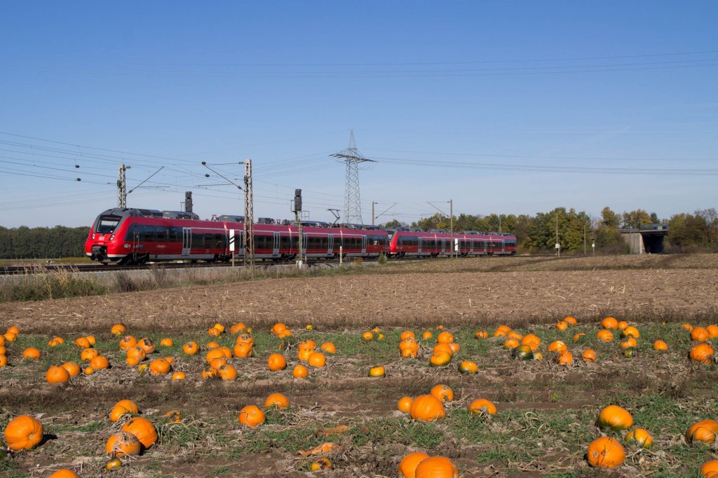 442 223 und 227 als S 39163 nach Hersbruck (links der Pegnitz) am 31.10.2012 bei Vach.