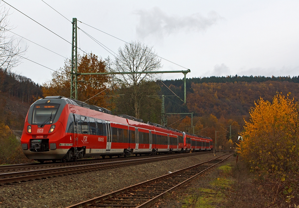 442 256 und 442 254 (Zwei gekuppelte 4-teilige Talent 2) fhrt am 11.11.2012 als RE 9 (rsx - Rhein-Sieg-Express) Siegen - Kln - Aachen in Richtung Kln, hier bei Betzdorf-Bruche. Trotz dem heutigen Sonntag ist der Triebzug schon hier gut gefllt, denn in Kln ist was los, der Karneval ist erffnet.