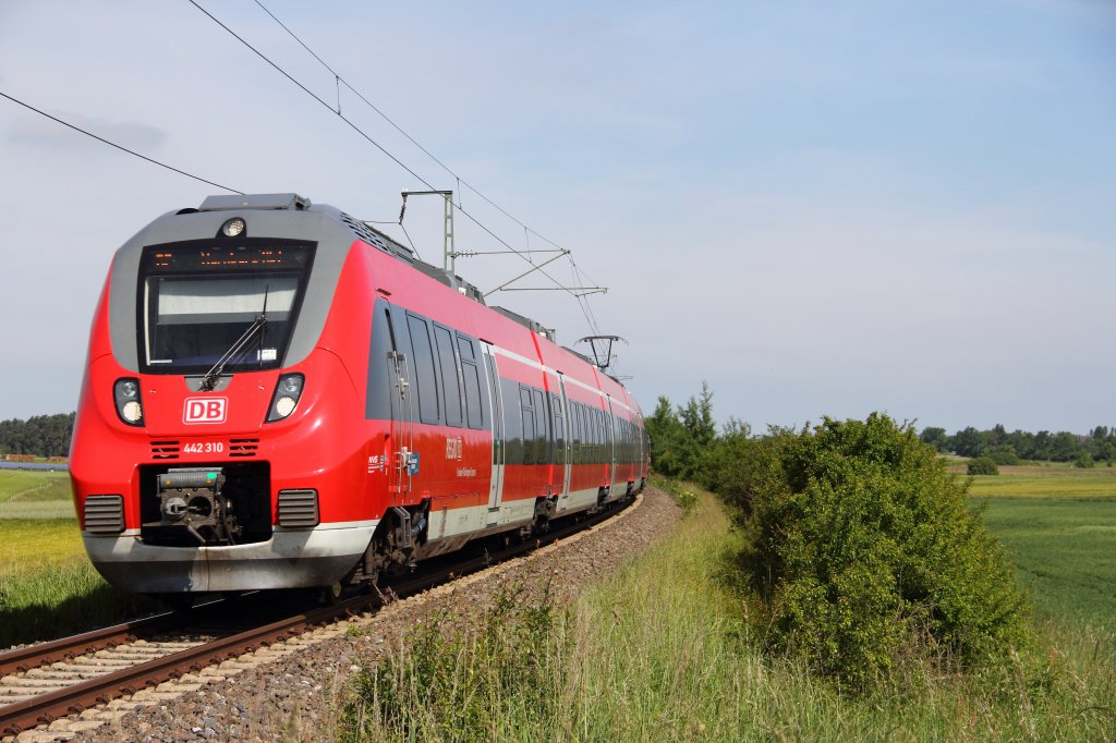 442 310 DB bei Ebersdorf am 15.06.2013.